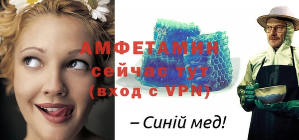 индика Вязники