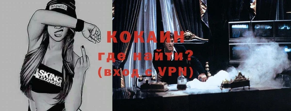 индика Вязники