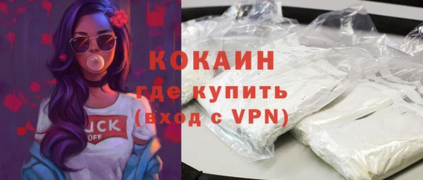 индика Вязники