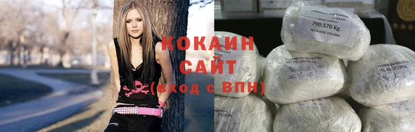 индика Вязники