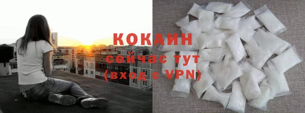индика Вязники