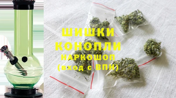 индика Вязники