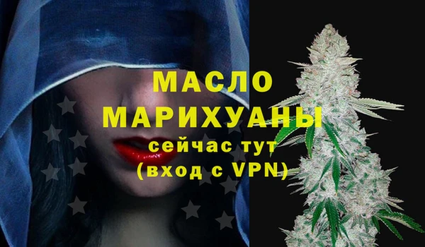 индика Вязники