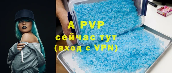 индика Вязники