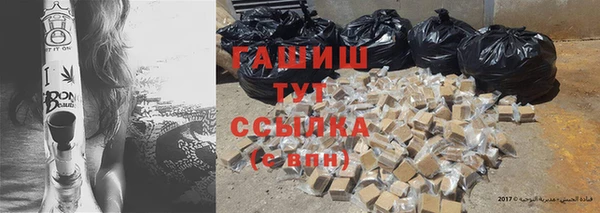 индика Вязники