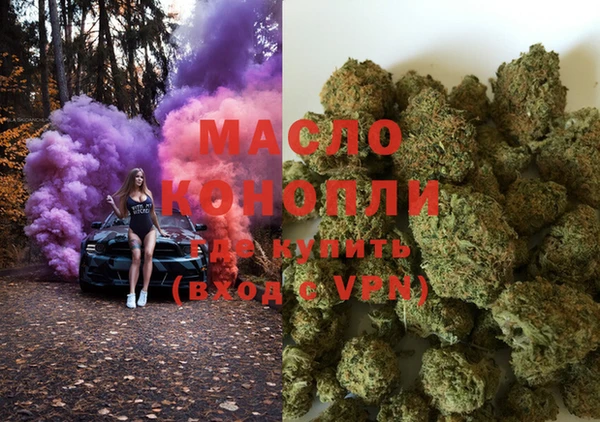 индика Вязники