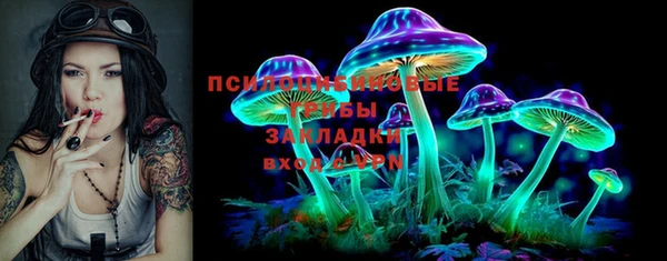 индика Вязники