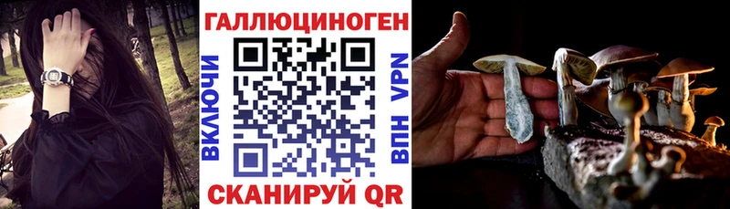 Галлюциногенные грибы мицелий Бабушкин