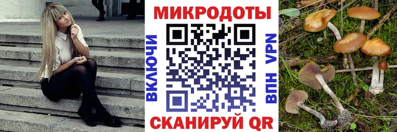 Купить где Бабушкин Псилоцибиновые грибы ЛСД